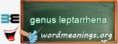 WordMeaning blackboard for genus leptarrhena